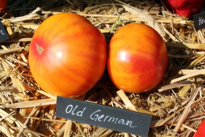 samenfestes saatgut alte sorten Alte historische Gemsesorten-Sortiment  Samenset  Gardenox-Natur